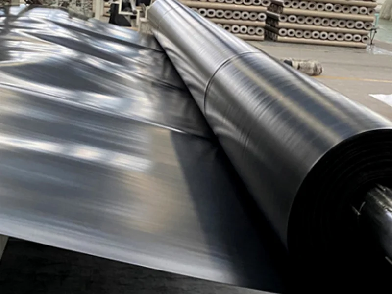 geomembrane